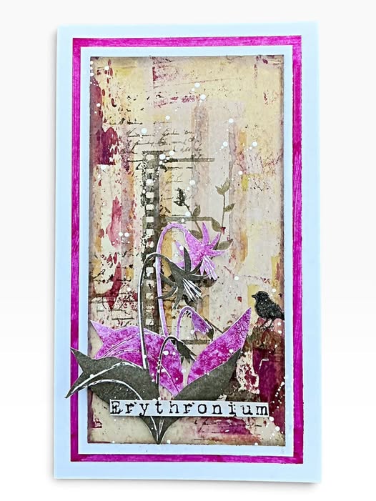 Fresh Inspiration: Tracy Evans’ New Release