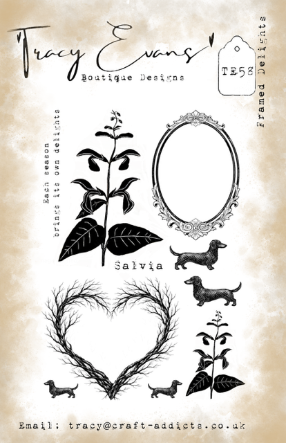 Tracy Evans - A5 Stamp - Framed Delights