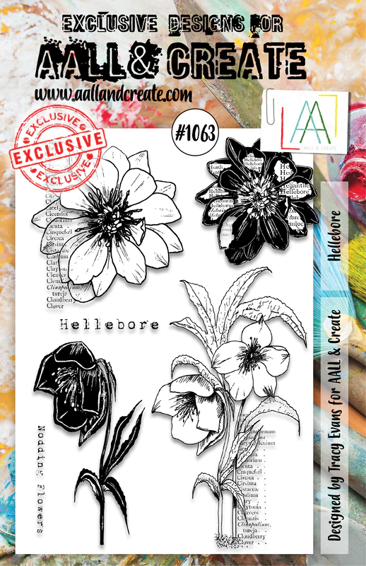 AALL & Create A5 Hellebore