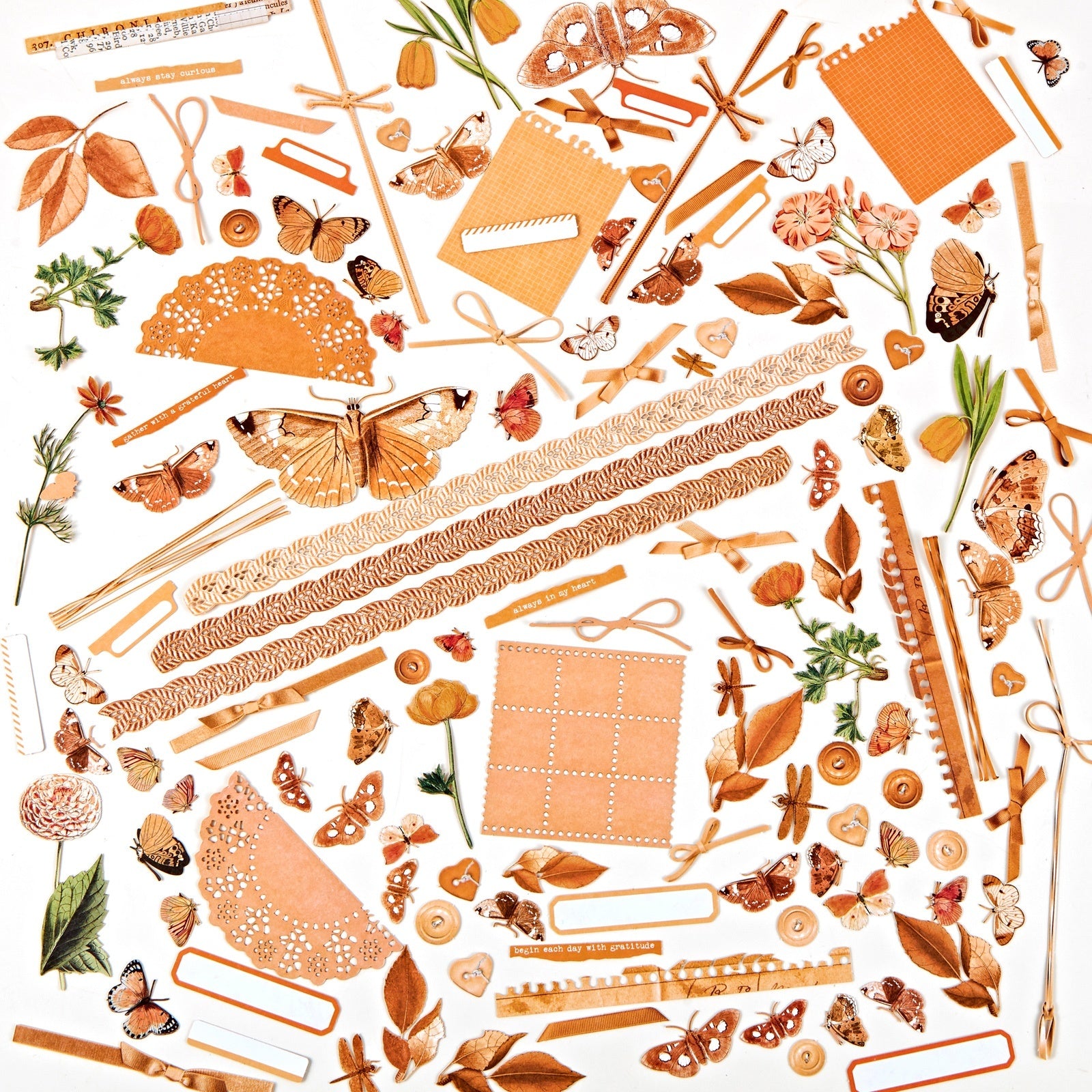 49 and Market Laser Cut Elements - Peach