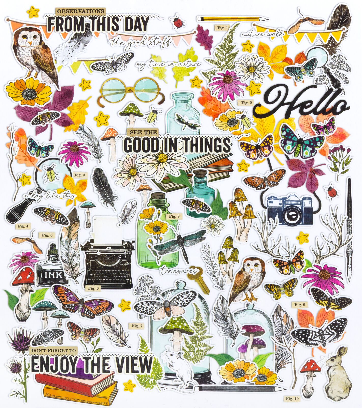 49 and Market - Curiosities In Willow Grove - Icon and Titles Ephemera Set