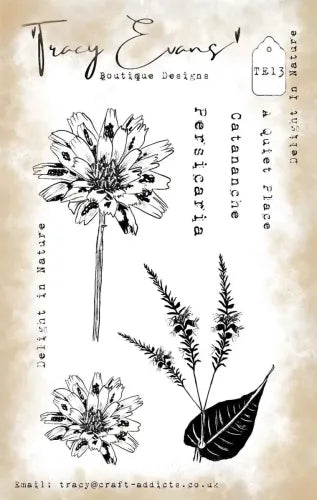 Tracy Evans - Delight In Nature - A6 Stamp