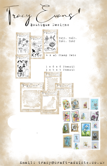 Tracy Evans - Bundle