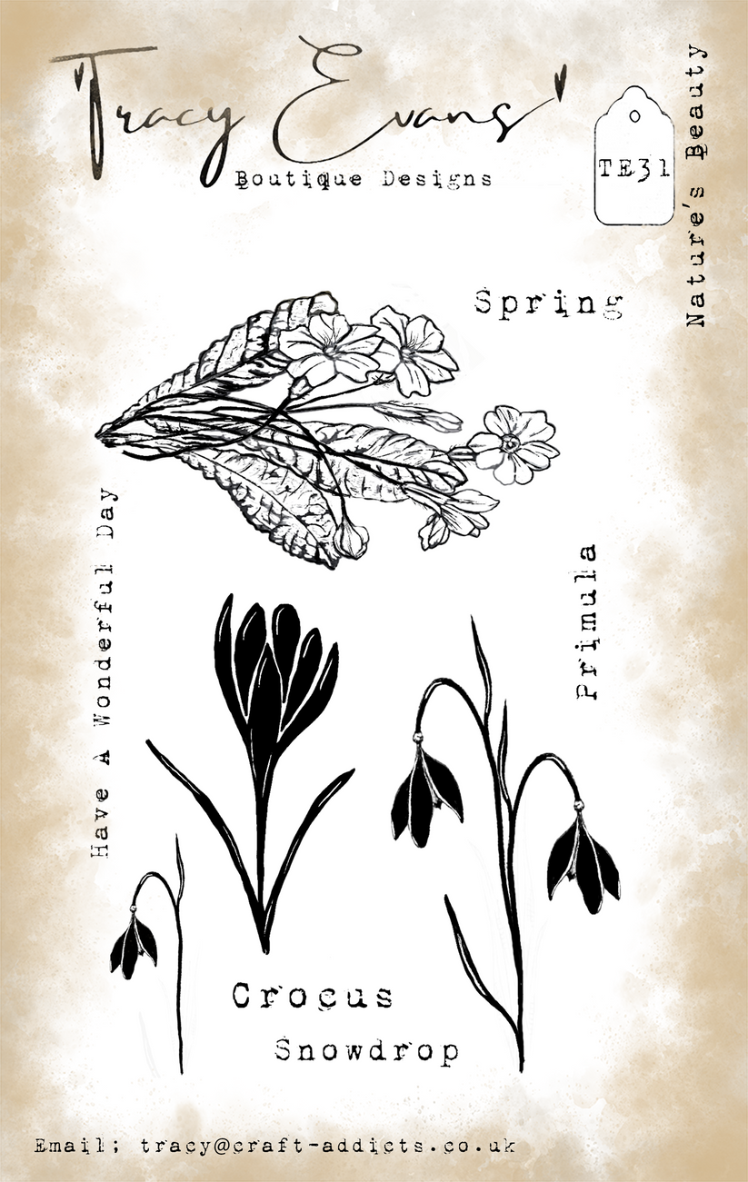 Tracy Evans - Natures Beauty - A6