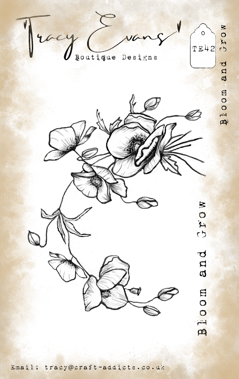 Tracy Evans Bloom and Grow