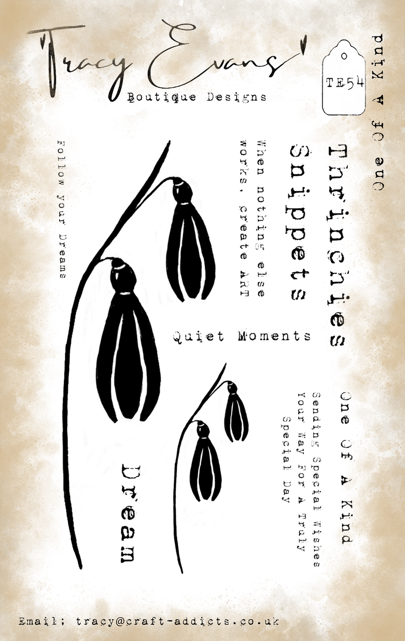 Tracy Evans - One Of A Kind A7