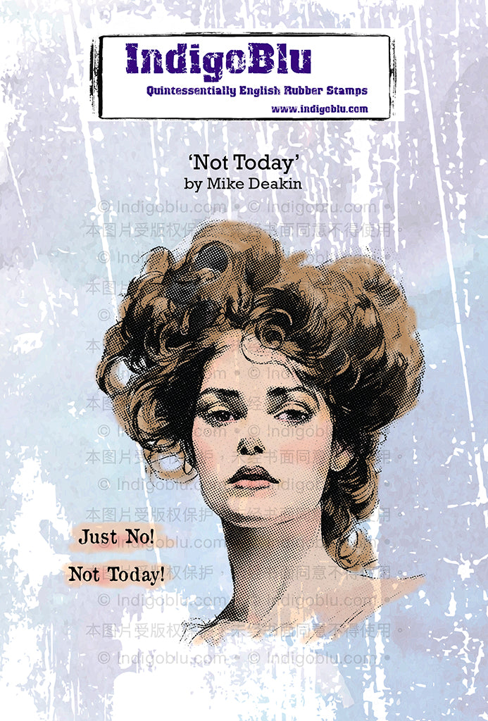 IndigoBlu Stamp - Not Today - A6 Stamp