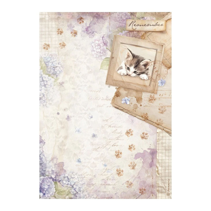 Stamperia - Rice Papers - Quiet Days - Kitten