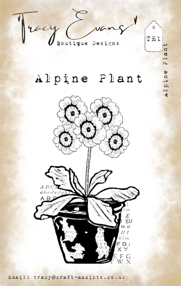 Tracy Evans Alpine Plant   A7  Stamp