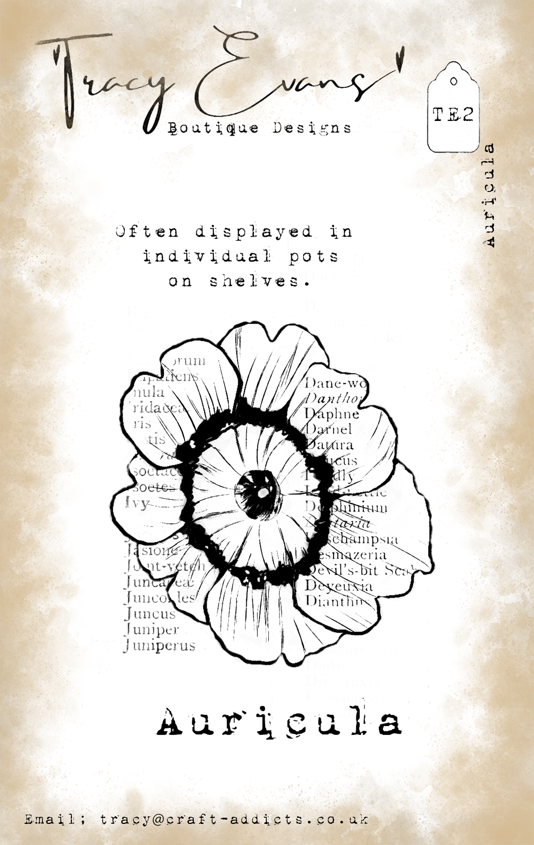 Tracy Evans TE2 - Auricula A7 Stamp