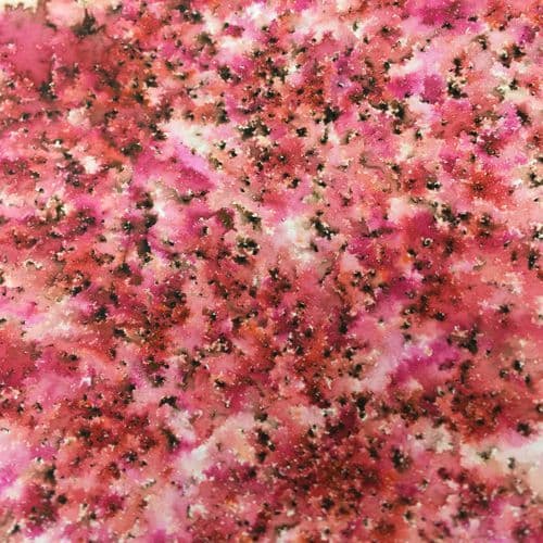 PaperArtsy Infusions Frankly Scarlet