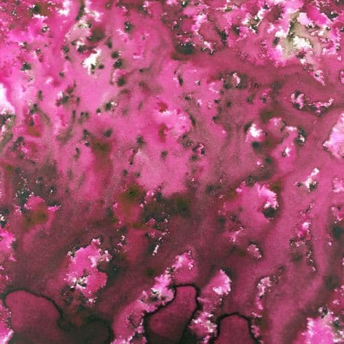PaperArtsy Infusions Magenta
