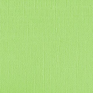 Down Under Cardstock - Green Melon pk of 4 sheets