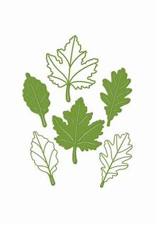 creative expressions