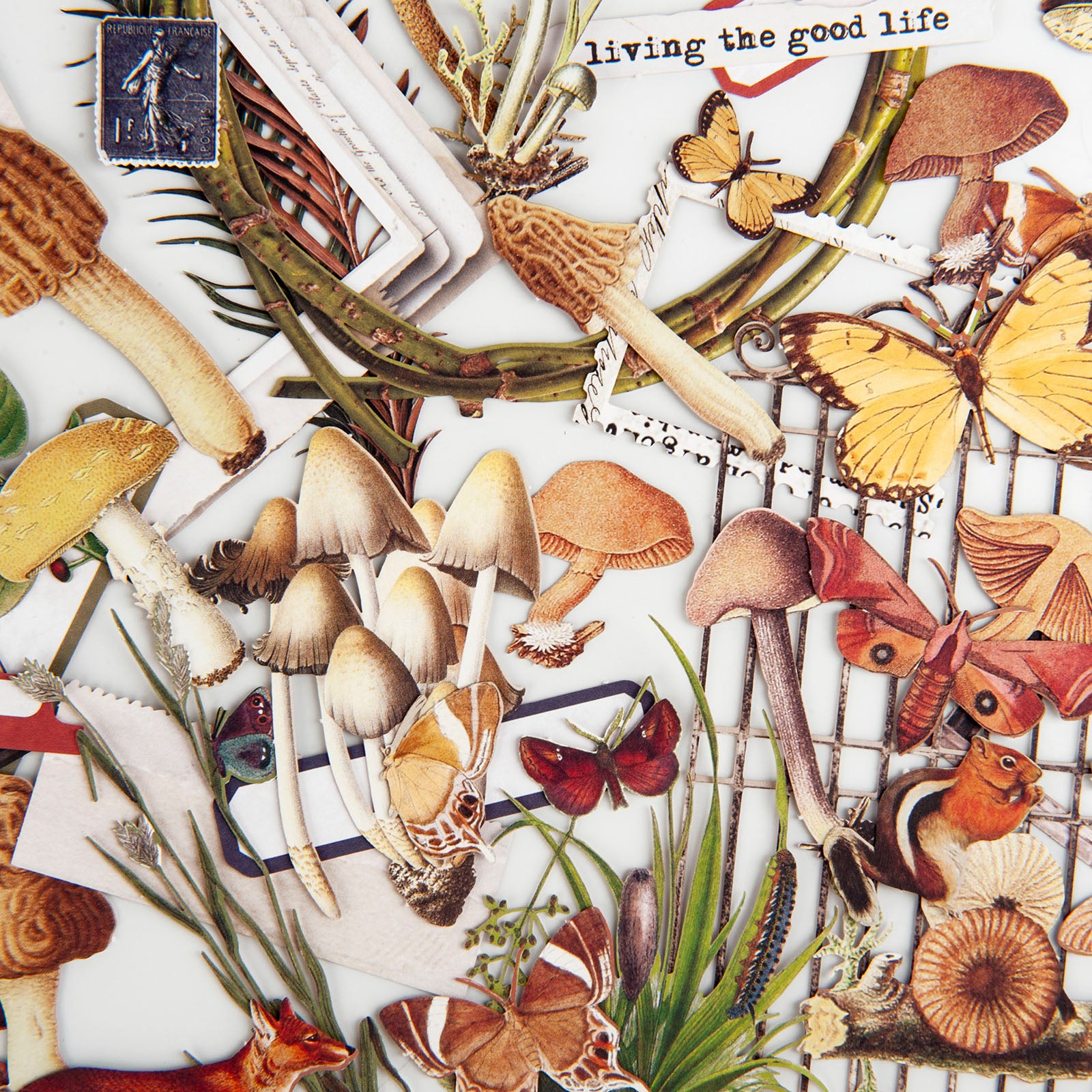 49 and Market curators Meadow Laser Cut Elements