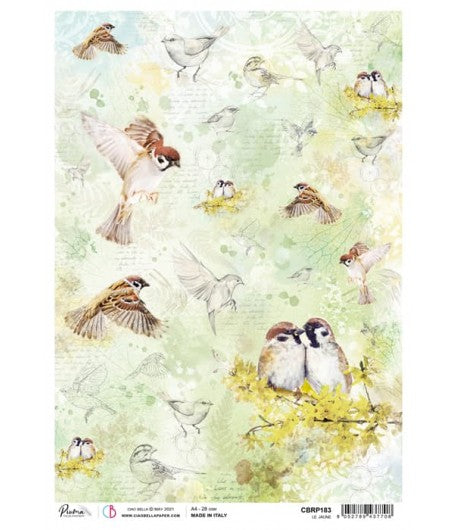 CIA BELLA RICE PAPER LE JAUNE