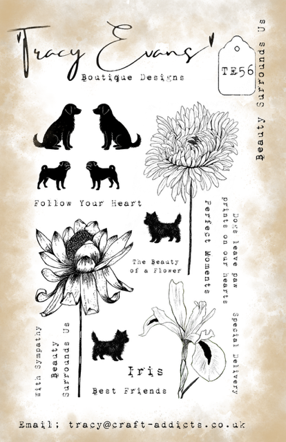 Tracy Evans  A5 Stamp  Beauty Surrounds Us