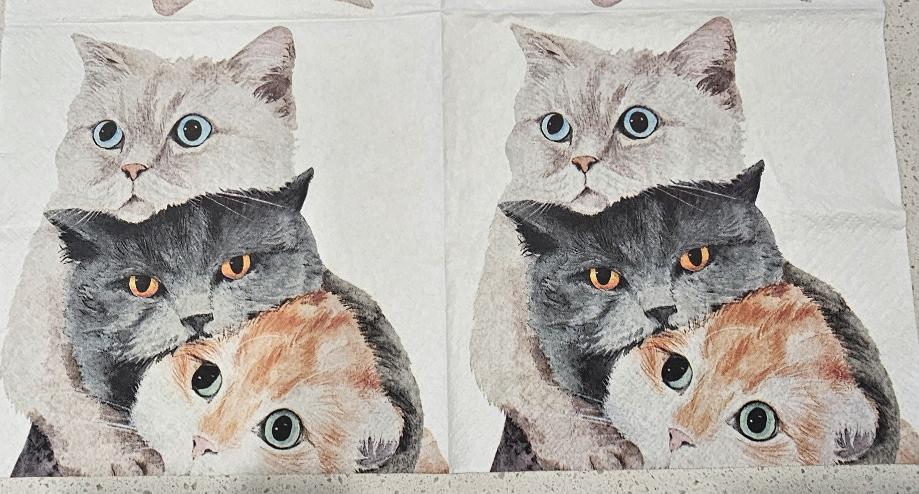 Paper Napkins -  Cuddling Kittens  -    2 per pack