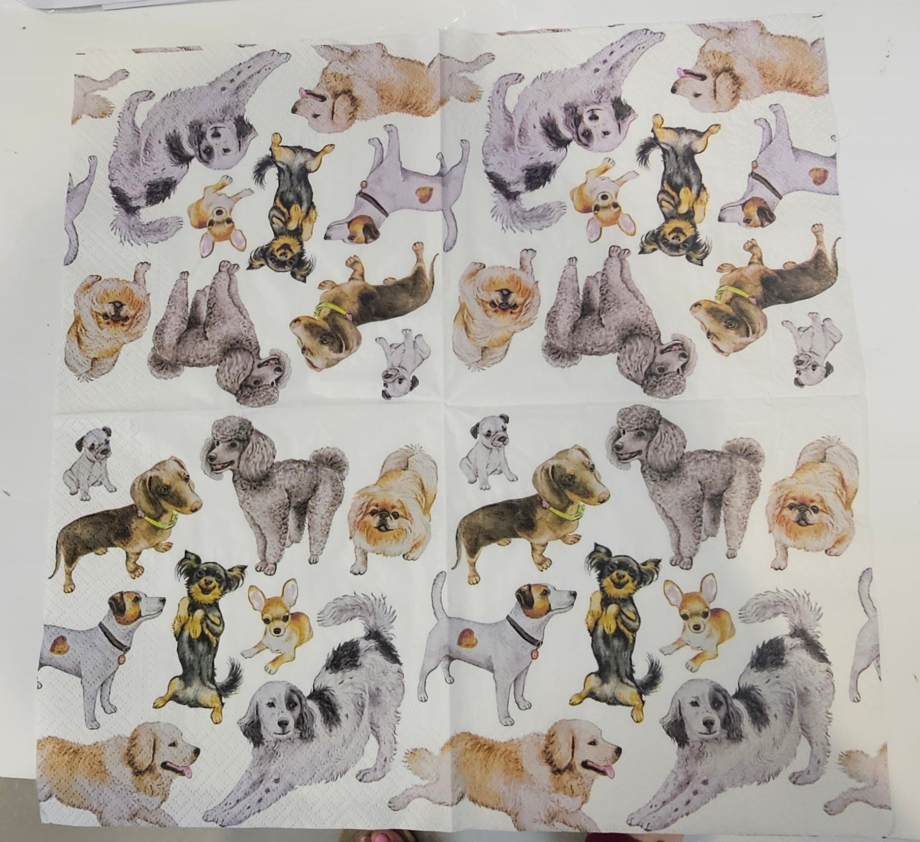 Paper Napkins - Puppies  -    2 per pack