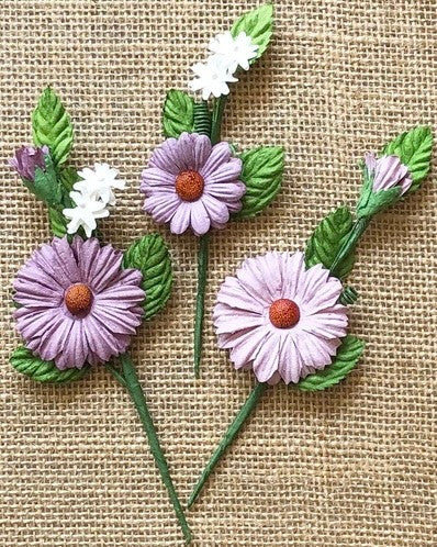 49 Market daisy Stems - Lavender