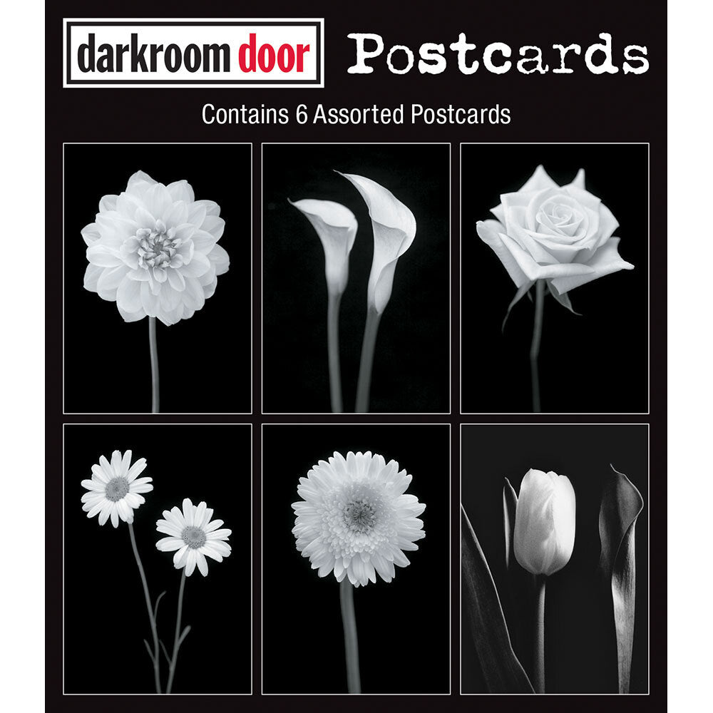 Darkroom Door Postcards - Viva La Flora