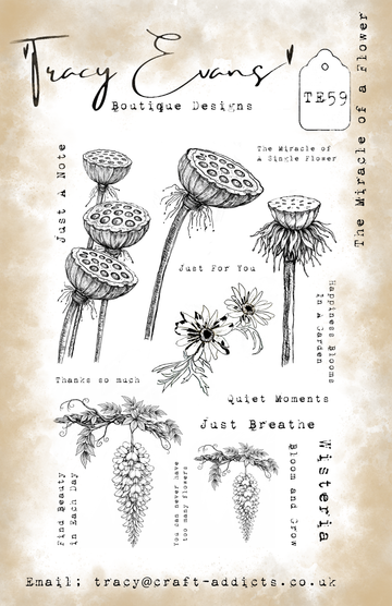 Tracy Evans - Stamp- The Miracle of Flowers