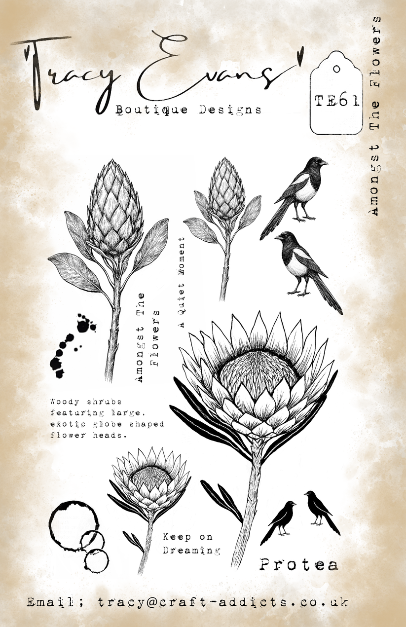 Tracy Evans - Stamp- Amongst the Flowers