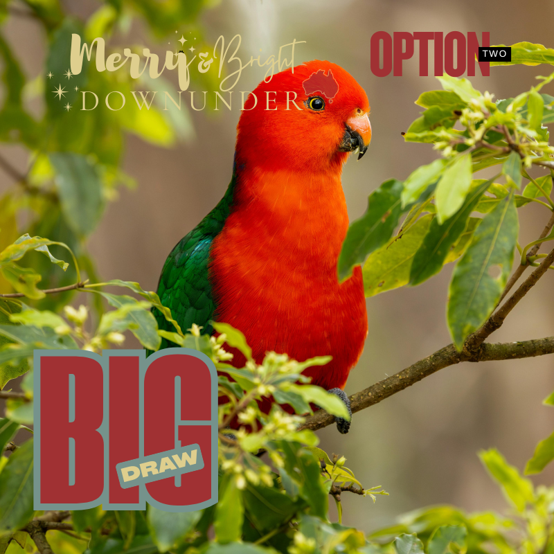 MERRY AND BRIGHT DOWNUNDER BIG DRAW OPTION TWO