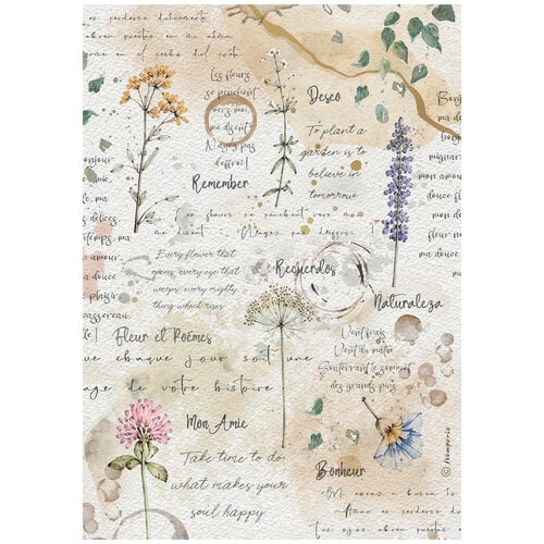Stamperia Flowers and Poems A4 rice paper with wildflowers, handwritten script and soft watercolour details
