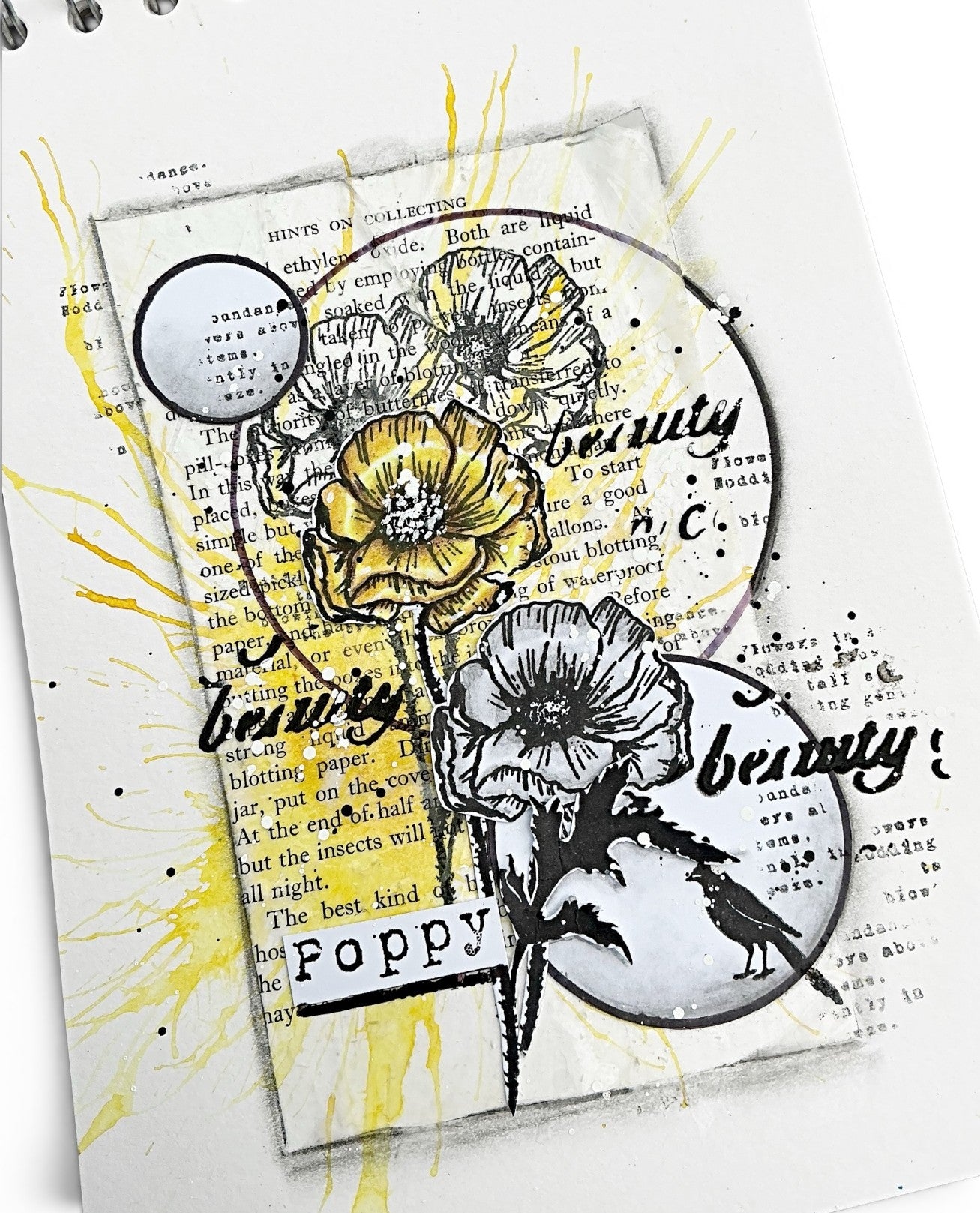 BLACK WHITE AND WOW - Tracy Evans Poppy In Bloom
