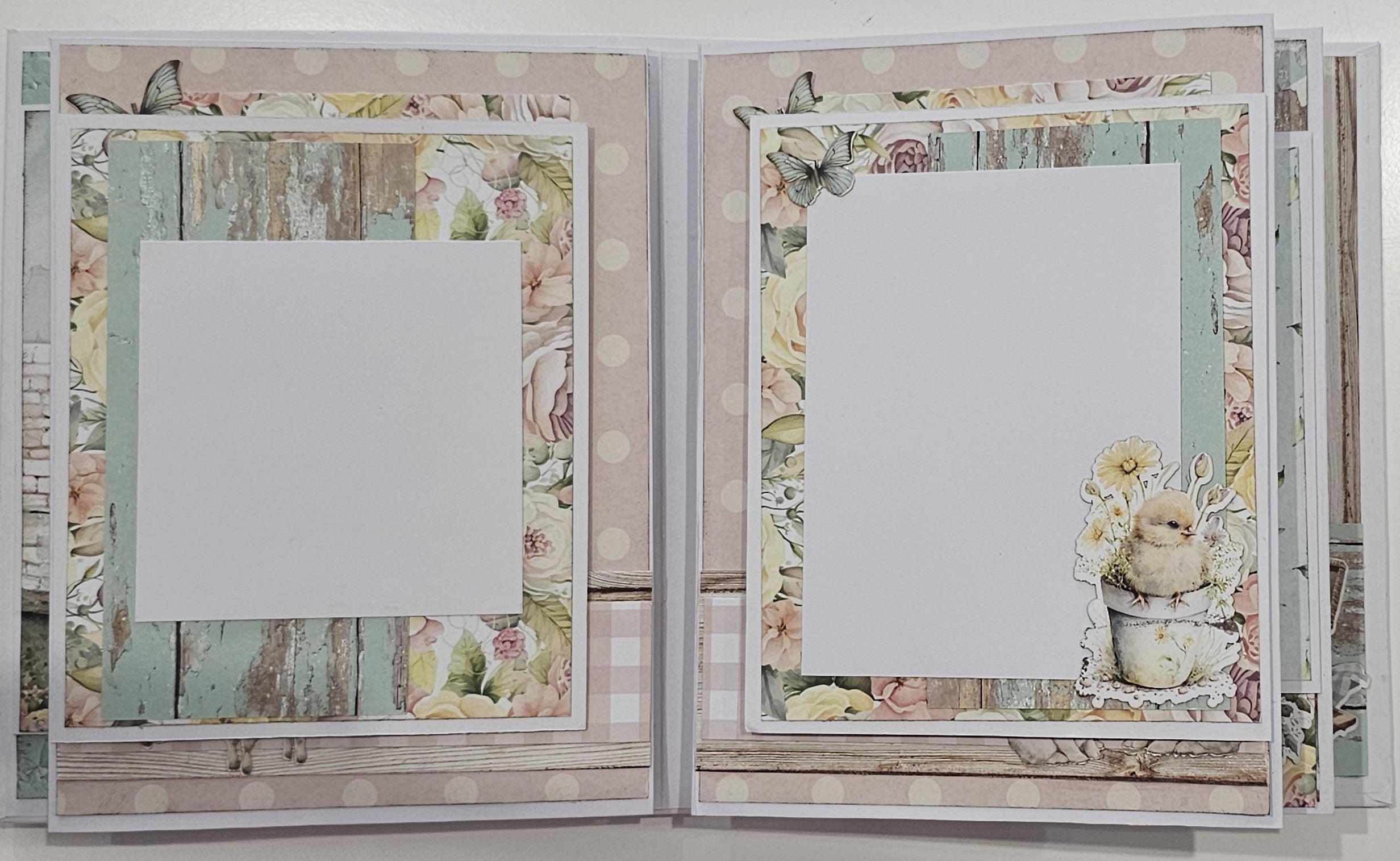 Mintay Spring is Here  Album by Jenny Curthoys