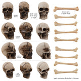 Tim Holtz Idea-Ology - Resin - Skulls and Bones