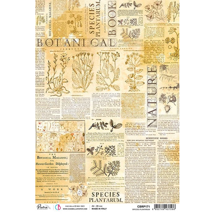 Ciao Bella  Rice Paper "SPECIES PLANTARUM "