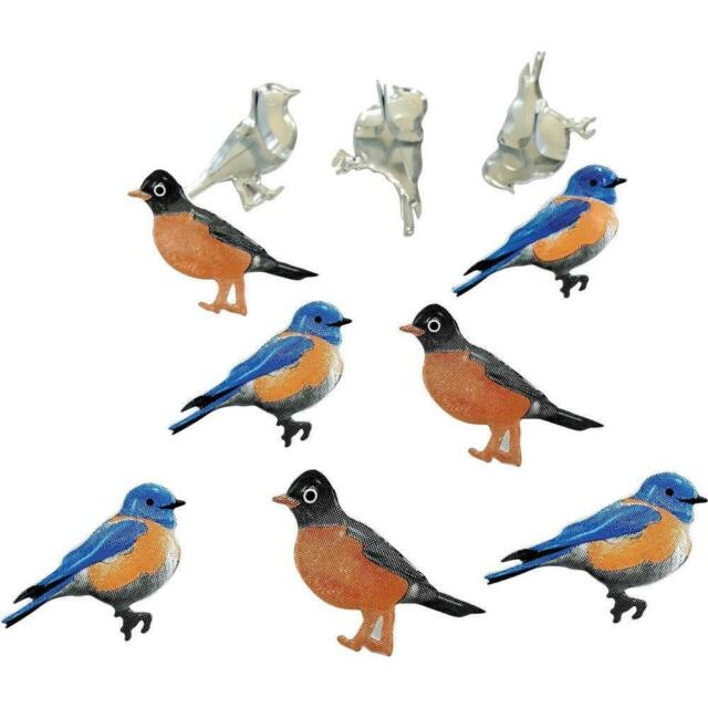 Bird  Brads 12  pieces