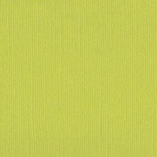 Down Under Cardstock - Lime 4 sheets