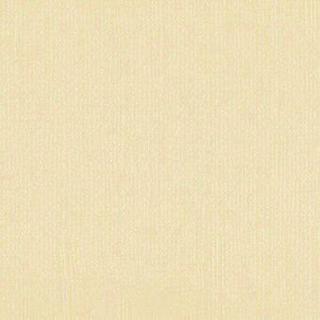 Down Under Cardstock - Almond Bisque 4 sheets