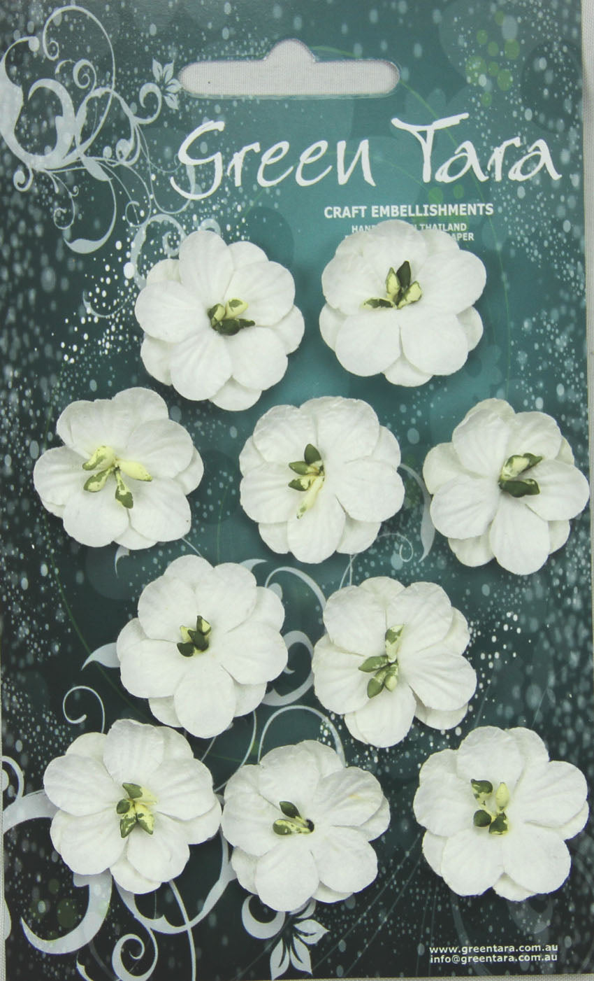 Green Tara Cherry  Blossoms     white 10 pieces