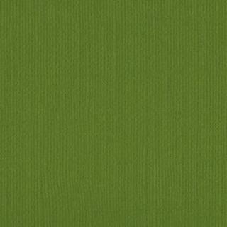 Down Under Cardstock - Asparagus  pkt of 4 sheets