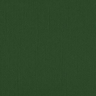 Down Under Cardstock - Emerald Isle  4 sheets
