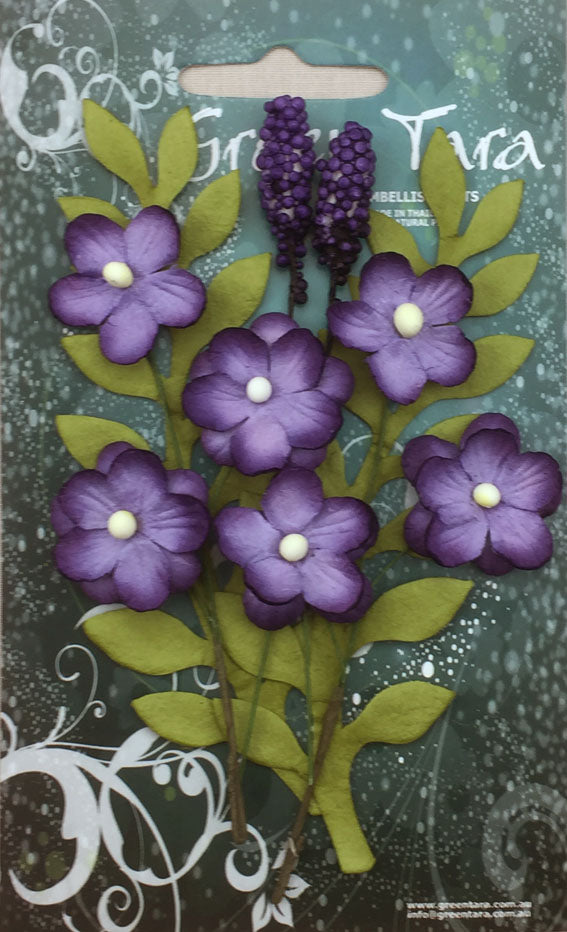 Green Tara Primrose Collection Purple