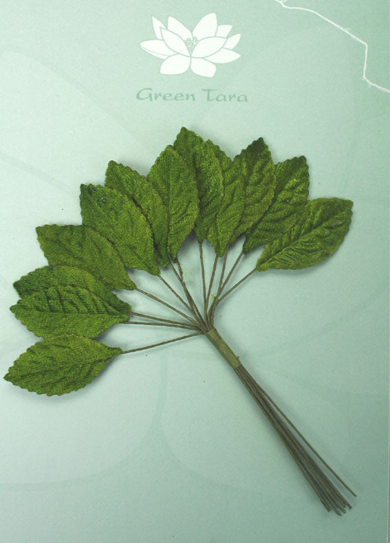Green Tara Stemmed Leaves