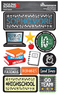 Reminisce  You have been Schooled Sophomore (10th  grade)  Die Cut Stickers