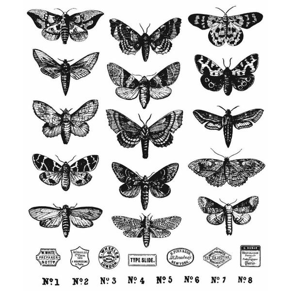 Tim Holtz -Stampers Anonymous   "Moth Study "